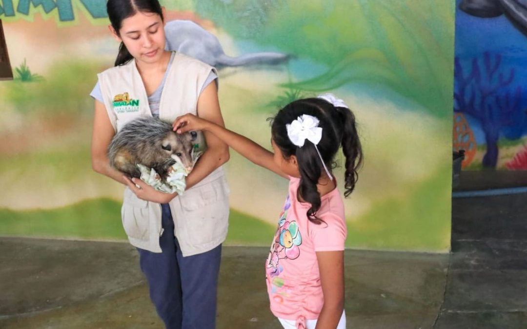 DISFRUTA DE MÁS DE 100 ESPECIES EN EL ZOOLÓGICO TAMATÁN ESTAS VACACIONES