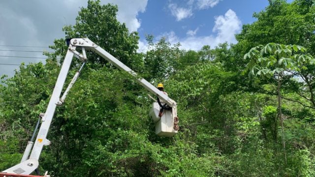 CFE inicia actividades para enfrentar posibles afectaciones por huracán Beryl