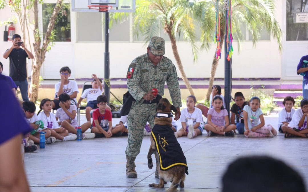 CULMINA CON ÉXITO CAMPAMENTO DE VERANO DEL DIF TAMAULIPAS