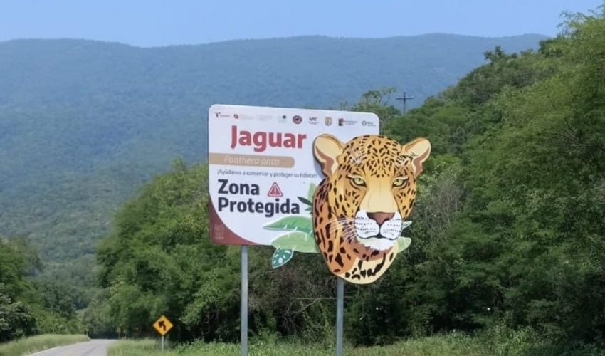 COLOCA COMISIÓN DE PARQUES SEÑALÉTICA PARA EVITAR ATROPELLAMIENTOS DE FAUNA