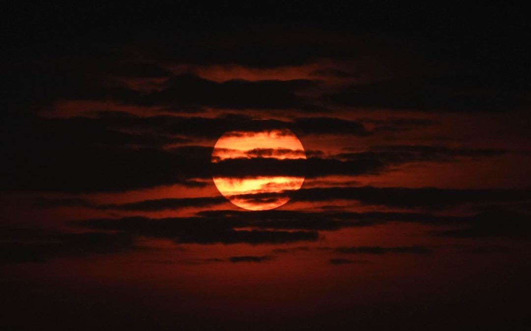 El año 2024 fue más caluroso en México desde 1880: Científicos de la UNAM